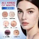 1000240649.webp