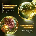 1000240681.webp