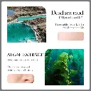 1000241703.webp