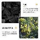 1000242060.webp