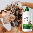 1000242414.webp
