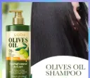 شامبو سادوير بزيت الزيتون والأحماض الأمينية لإزالة القشرة وتهدئة الحكة (SADOER Olives Oil Dandruff Removal Anti-Itch Shampoo - 500ml)